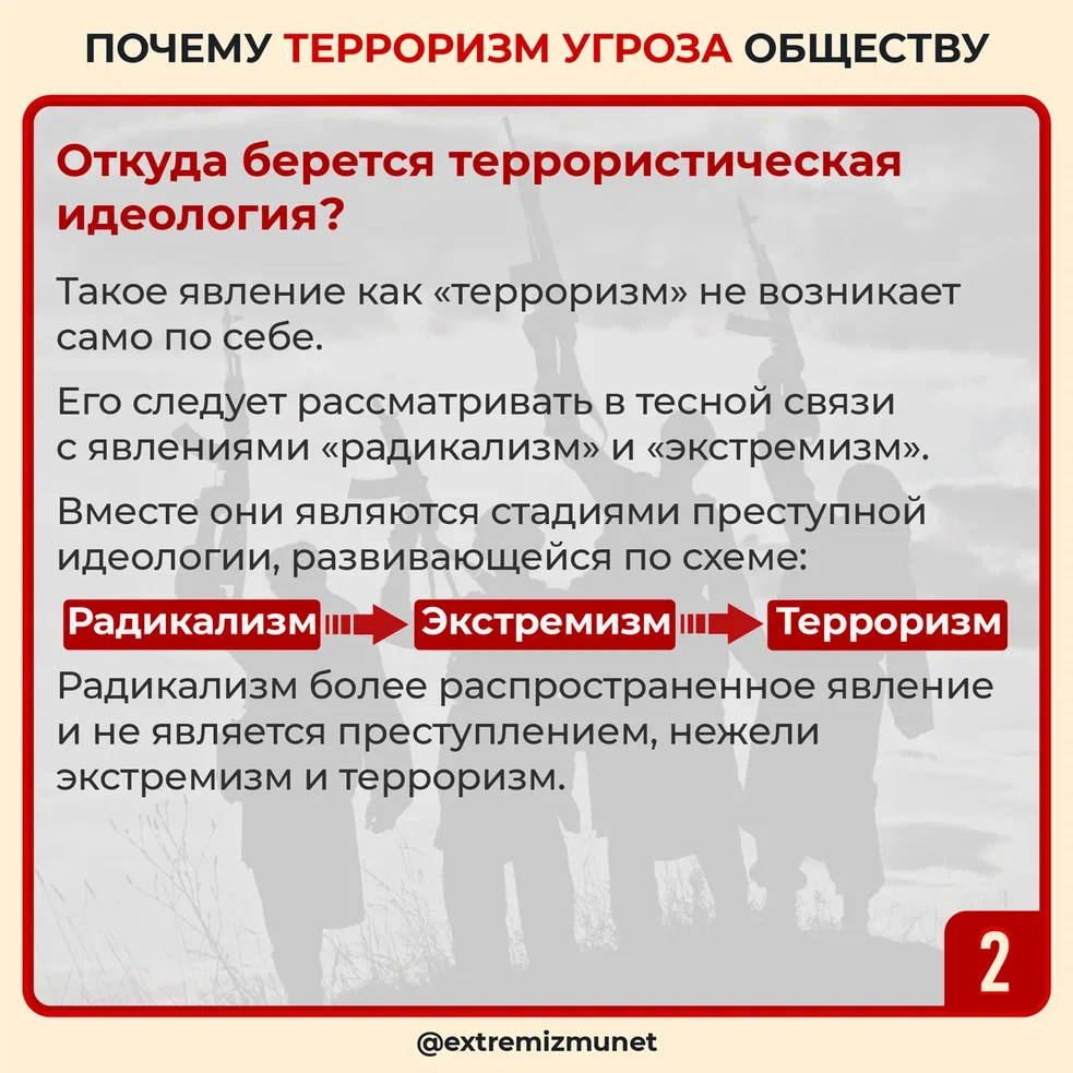 ter2.jpg